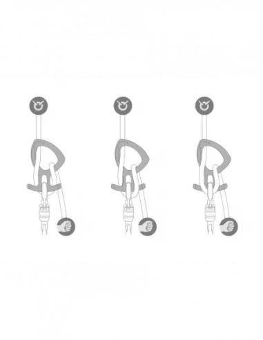 Pirana Club Descender