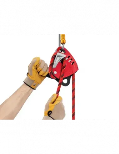 Maestro L (Red) Descender