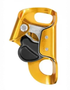 Croll S Chest Ascender