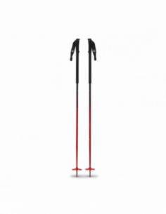 Ski Poles Vapor AL