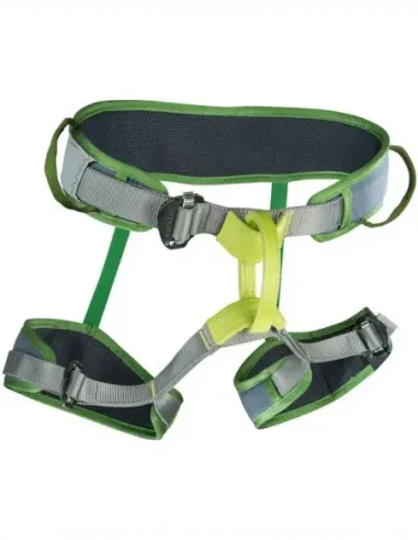 Gurt Zack Gym