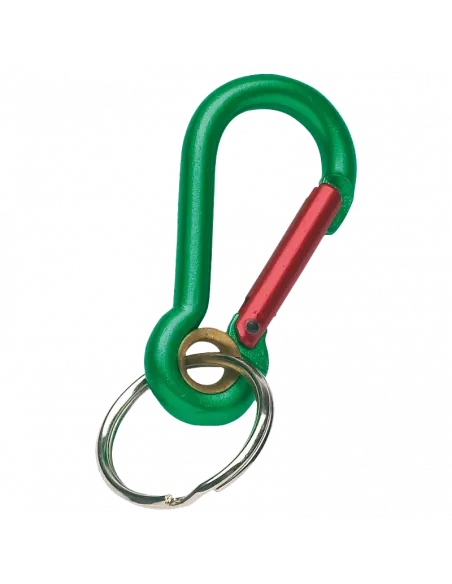 Accessory carabiner Key 504
