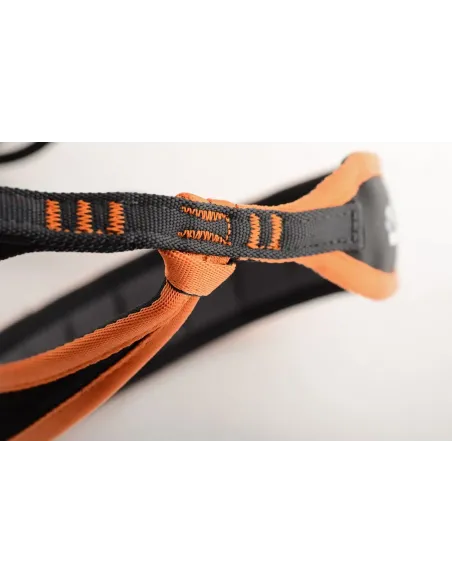 Maverick Harness 2