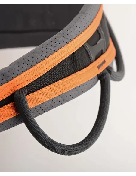 Maverick Harness 2