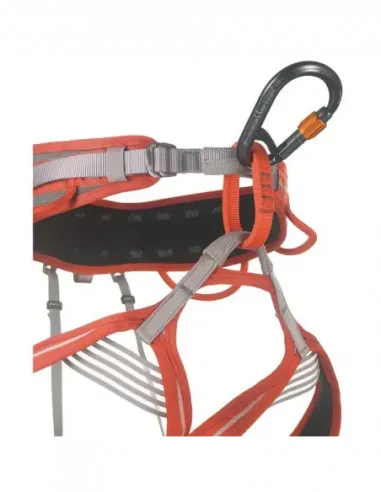 HMS Core Belay Lock Carabiner