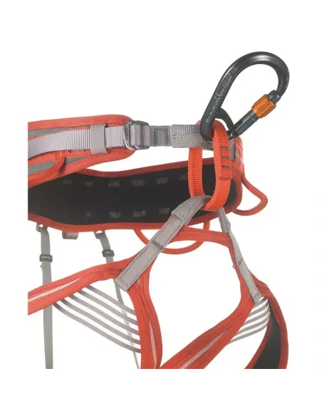 HMS Core Belay Lock Carabiner