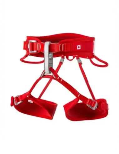Twist Rental II Harness