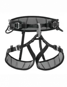 Falcon Mountain zitharnas