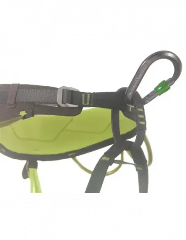 HMS Nimbus Lock Fuchsia Carabiner