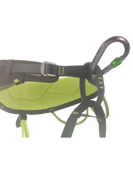 HMS Nimbus Lock Fuchsia Carabiner