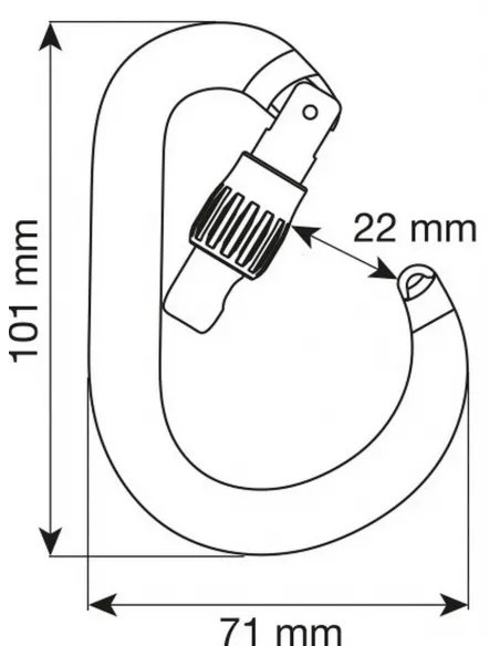 HMS Nimbus Lock Fuchsia Carabiner
