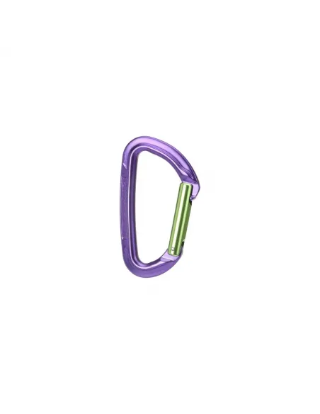 Session Straight Gate Carabiner