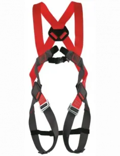 Basic Duo Full Body Harness
