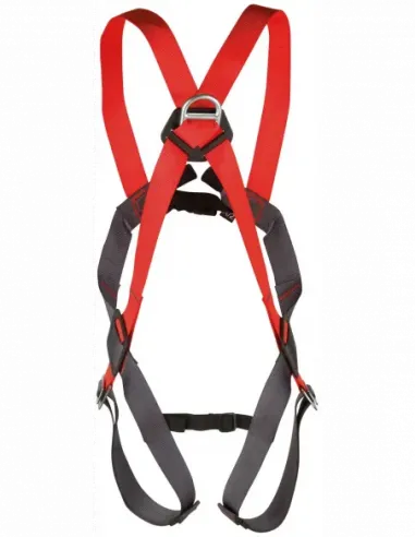 Basic Duo Full Body Harness