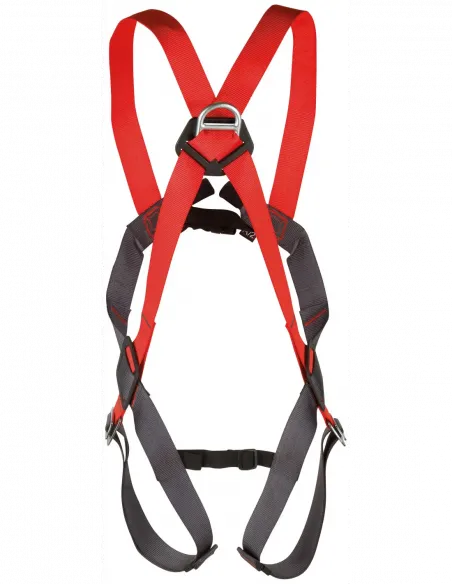 Basic Duo Full Body Harness