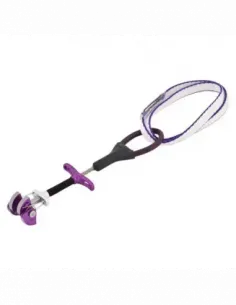 Dragonfly Micro Cams