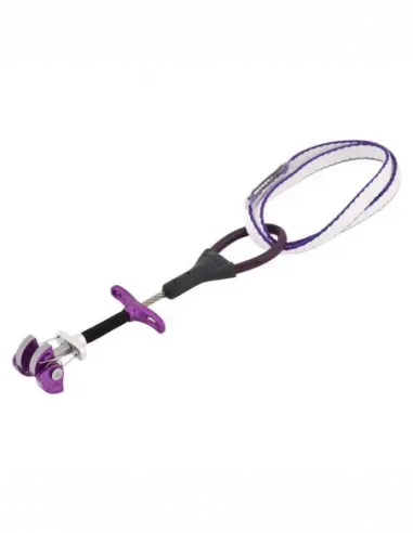 Dragonfly Micro Cams