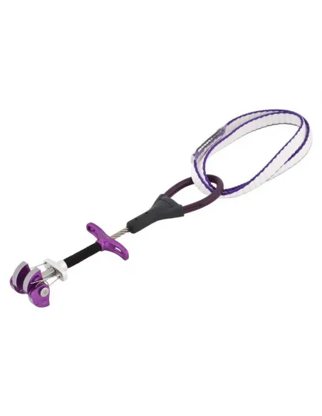 Dragonfly Micro Cams