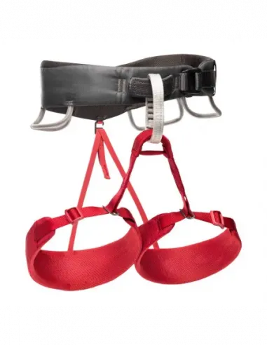Momentum Women's Harness