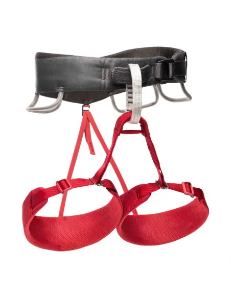 Momentum Women's Harness