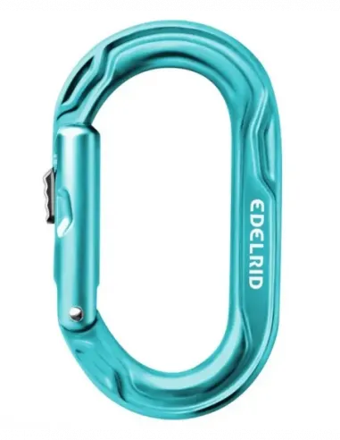 Kiwi Slider Carabiner