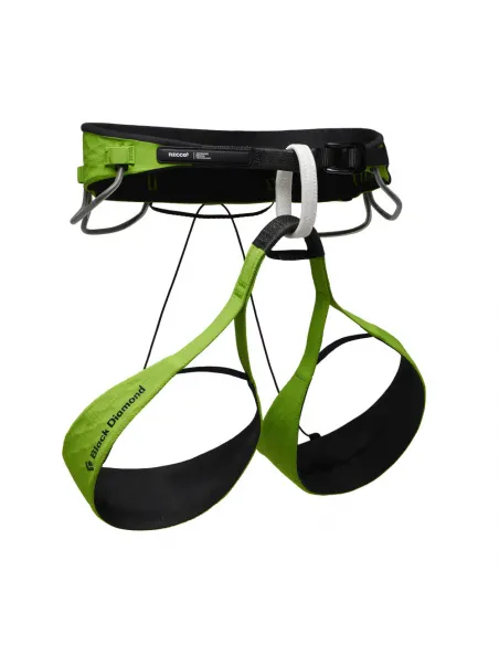 Vision AirNET RECCO Harness