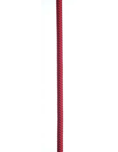 ULTRASTATIC Rope 11 mm Red 50 m