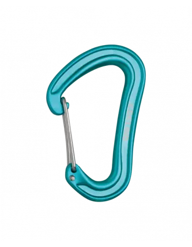 Nineteen G Carabiner