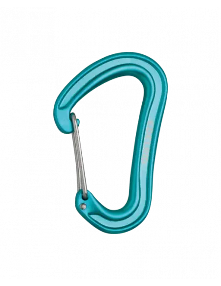 Nineteen G Carabiner