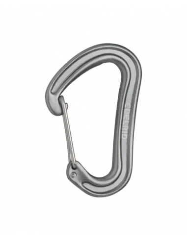 Nineteen G Carabiner