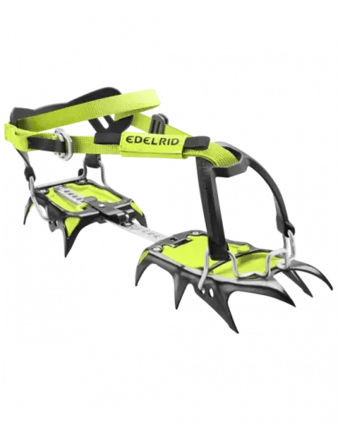 Shark stigjern