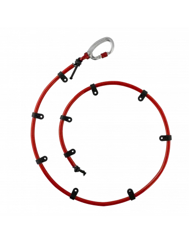 Tendon Lanyard