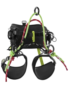 Treerex II Harness