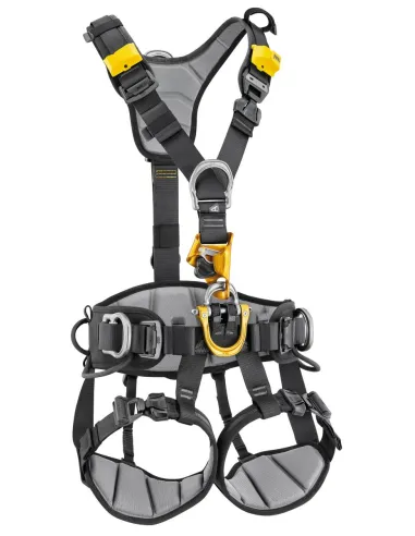 ASTRO International Version Harness