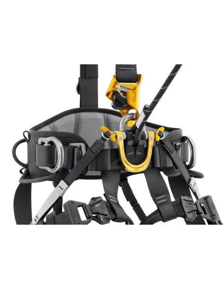 ASTRO International Version Harness