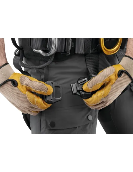 ASTRO International Version Harness