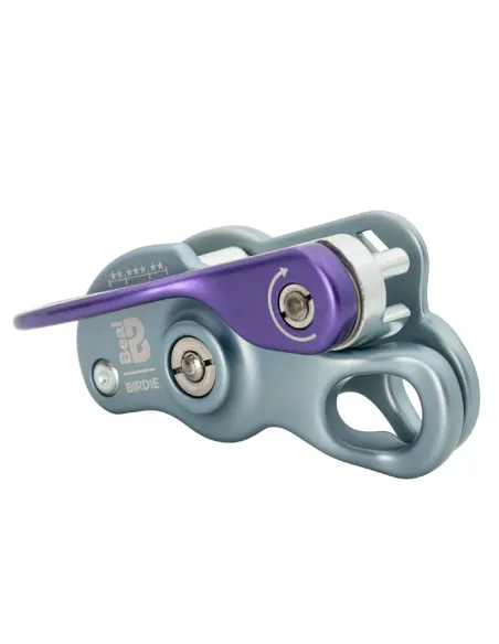 Asegurador Compacto Birdie