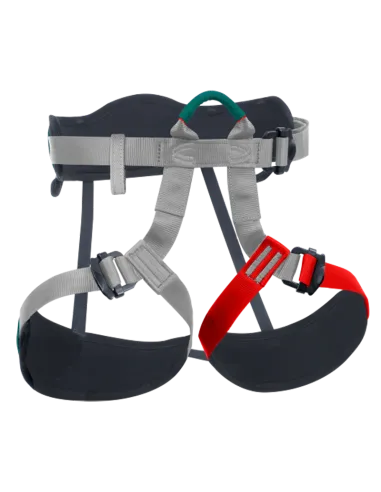 Harness Aeropark IV