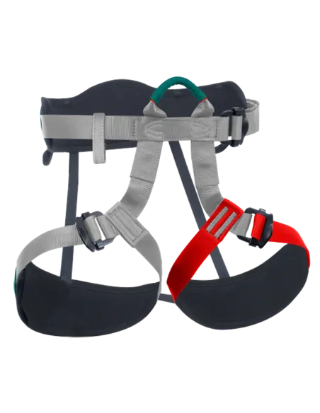 Harness Aeropark IV