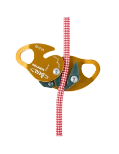 Monitor Mobile Fall Arrest Device