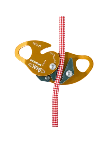 Dispositivo Anticaídas Móvil Monitor