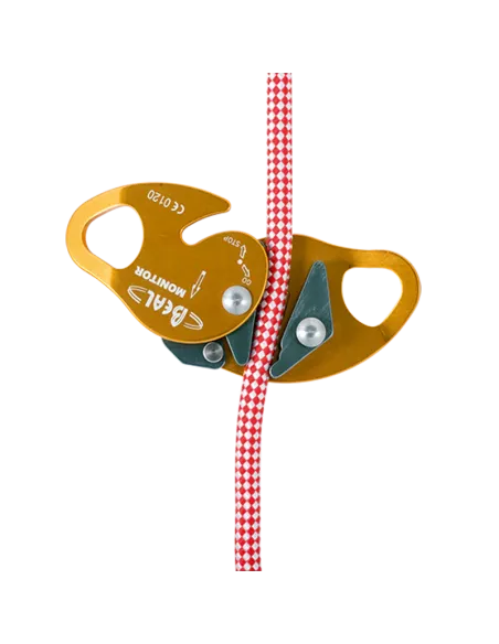 Dispositivo Anticaídas Móvil Monitor