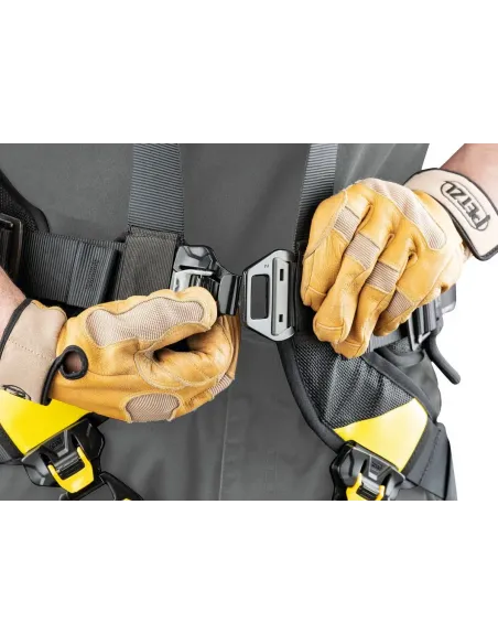 Volt International Harness