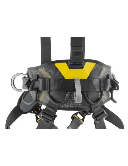 Volt International Harness