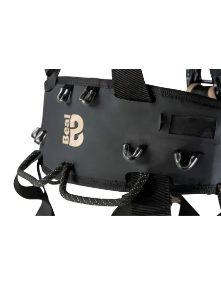 Hero Pro Hold up Purple Harness