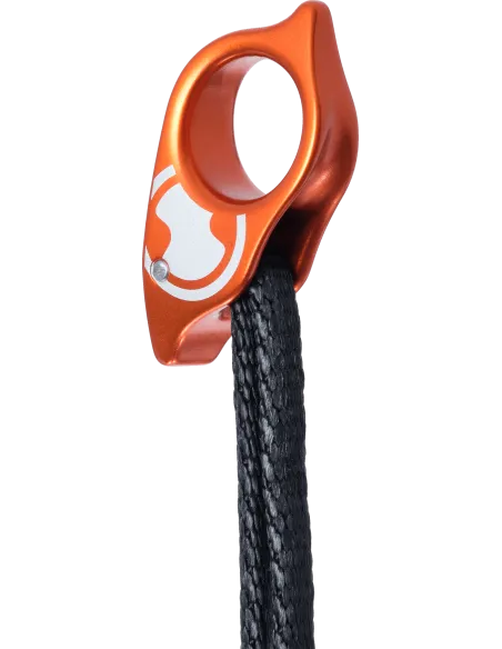 Fußschleife Schwarze Mamba