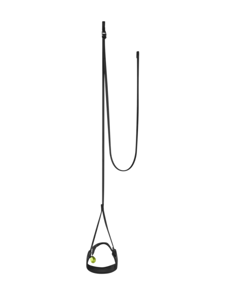 PROSTEP II Sloop