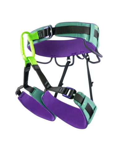 Klettergurt Trinity Grün