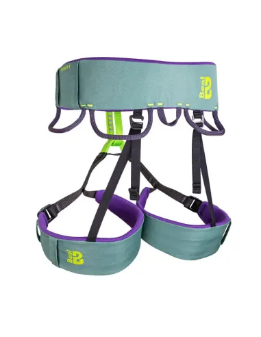 Klettergurt Trinity Grün