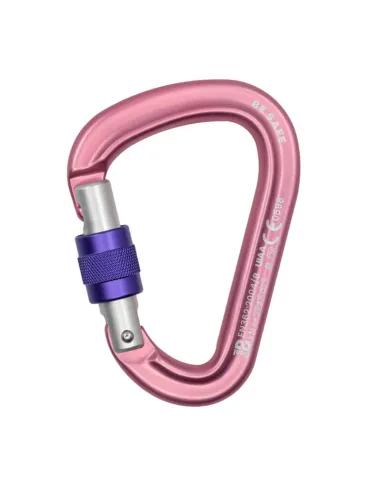 Be Safe Carabiner